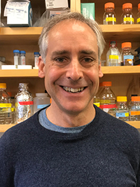 Henry N. Higgs, PhD